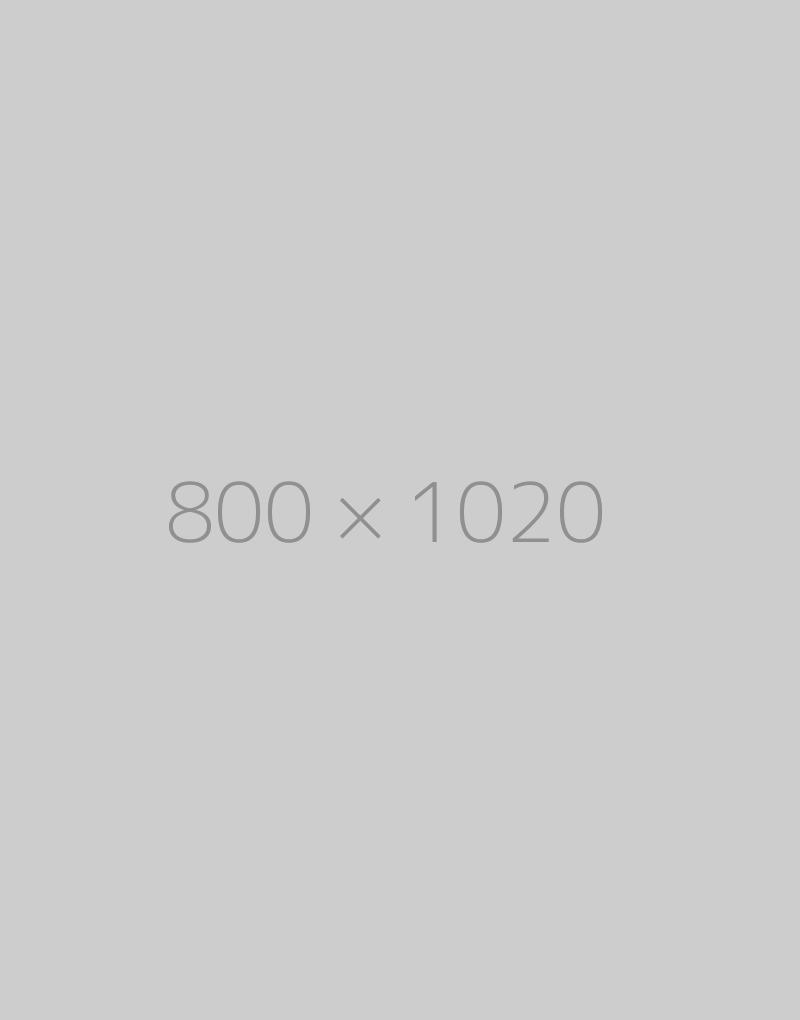 hongo 800x1020-ph